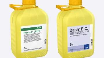 Focus® Aktiv-Pack